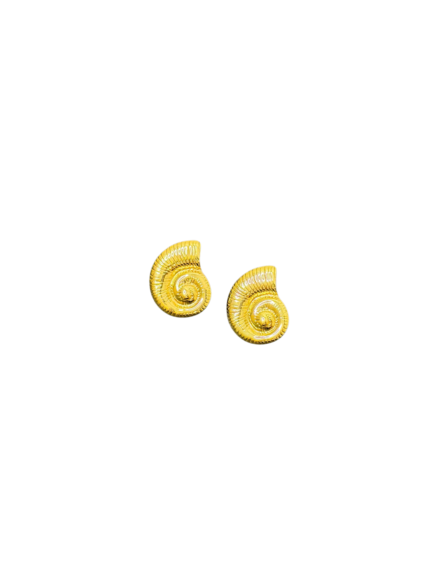 Amalfi Shells