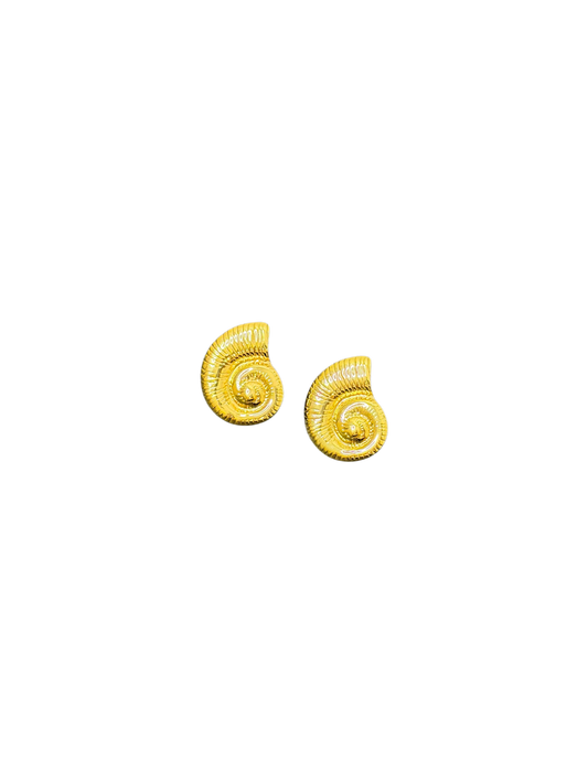 Amalfi Shells