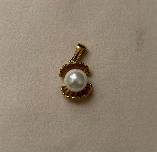 Shell Charm