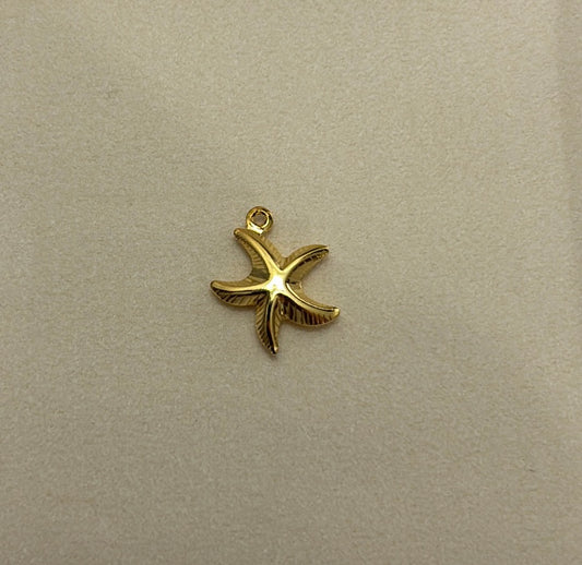 Little Sea Star Charm