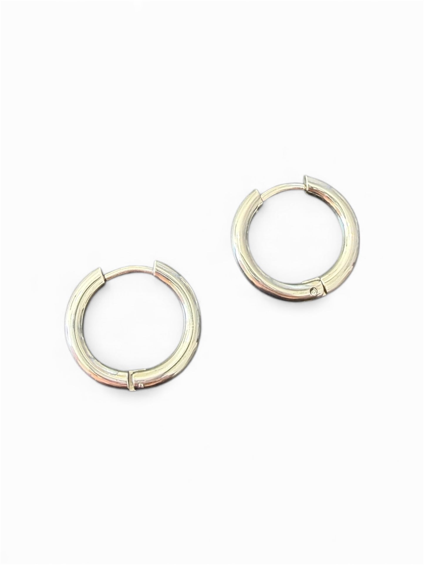 Icy Earrings